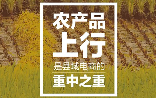 大宗農產品上行外銷